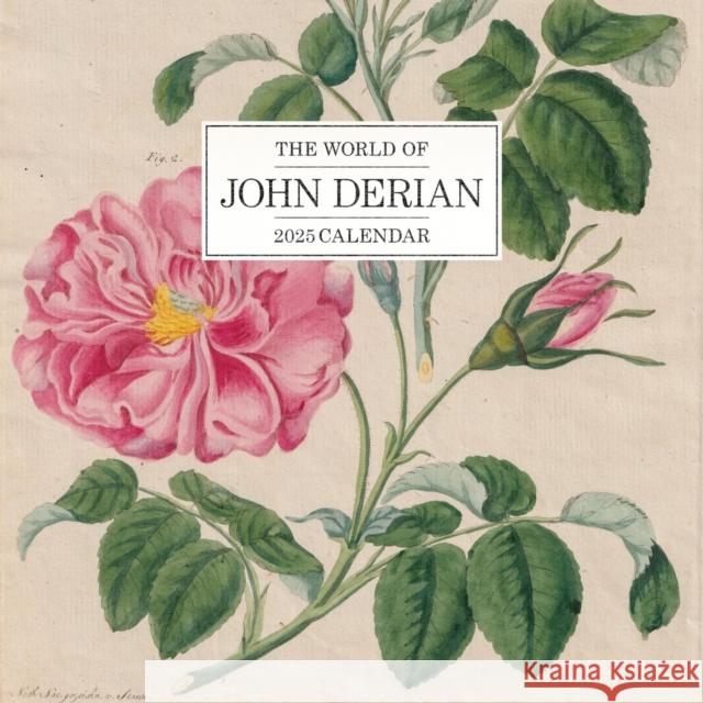 The World of John Derian Wall Calendar 2025 John Derian Workman Calendars 9781523526895 Workman Publishing - książka