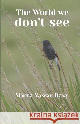 The World We Dont See Mirza Yawar Baig 9781797934662 Independently Published - książka