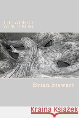 The World We're From Stewart, Brian 9781479295999 Createspace Independent Publishing Platform - książka