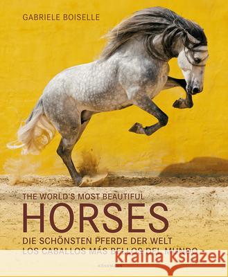 The World's Most Beautiful Horses Boiselle, Gabriele 9783741920769 Koenemann - książka