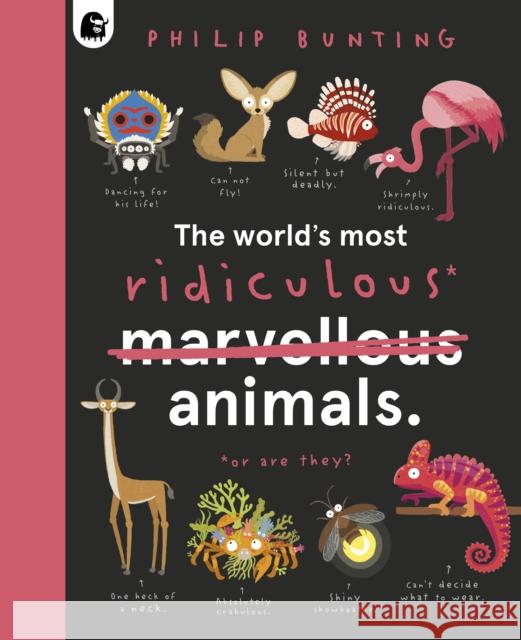 The World's Most Ridiculous Animals PHILIP BUNTING 9780711276437 Quarto Publishing PLC - książka