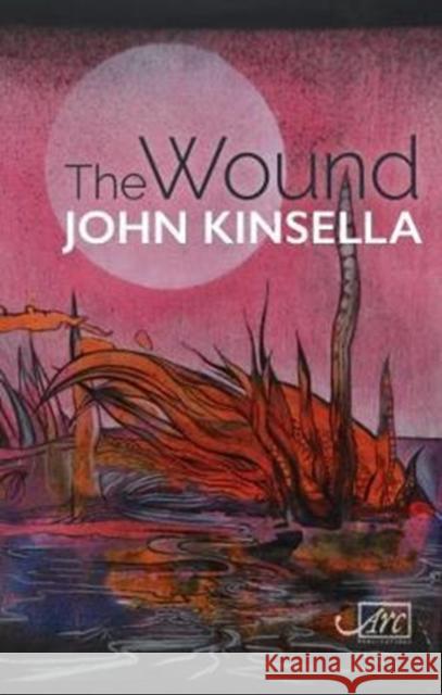 The Wound Kinsella, John 9781910345979  - książka