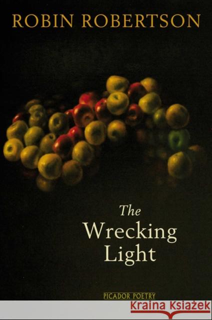 The Wrecking Light Robin Robertson 9780330515481  - książka