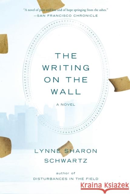 The Writing on the Wall Schwartz, Lynne Sharon 9781582433004 Counterpoint LLC - książka