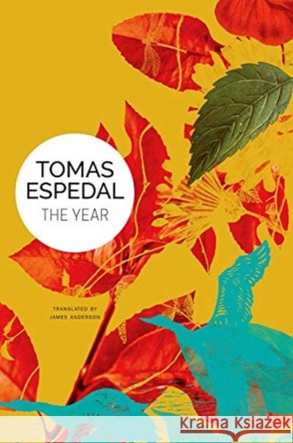 The Year Tomas Espedal James Anderson 9780857428509 Seagull Books - książka