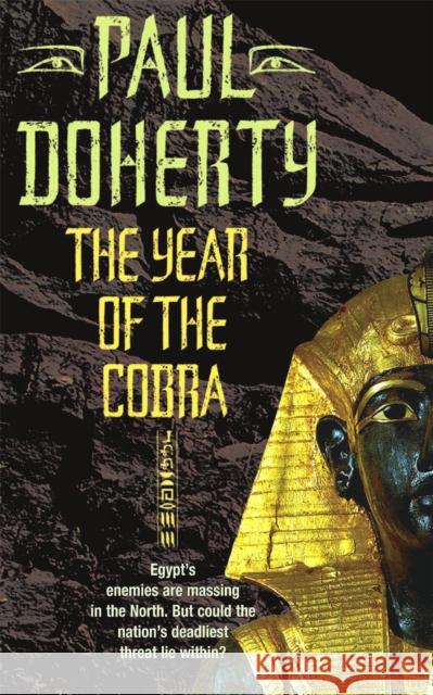 The Year of the Cobra Doherty, Paul 9780755303441 HEADLINE PUBLISHING GROUP - książka