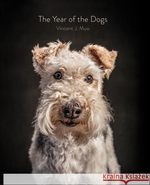 The Year of the Dogs Vincent J. Musi 9781452181929 Chronicle Books - książka