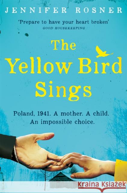 The Yellow Bird Sings Jennifer Rosner 9781529032475 Pan Macmillan - książka