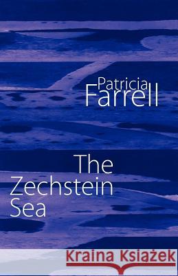 The Zechstein Sea Patricia Farrell 9781848612631 Shearsman Books - książka