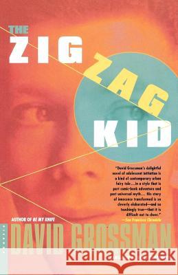 The Zig Zag Kid Grossman, David 9780312420994 Picador USA - książka