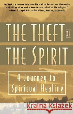 Theft of the Spirit: A Journey to Spiritual Healing Hammerschlag, Carl 9780671885533 Fireside Books - książka
