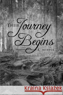 Their Journey Begins K. Meador Mary-Nancy Smith Cheryl Ramirez 9781481019040 Createspace - książka
