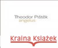Theodor Pištěk - Angelus Pavel Vančát 9788074372964 KANT - książka