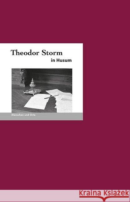 Theodor Storm in Husum Missfeldt, Jochen; Demandt, Christian 9783937434681 Edition A. B. Fischer - książka