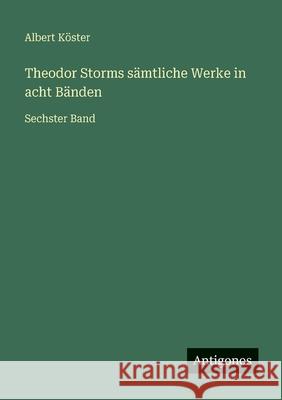 Theodor Storms s?mtliche Werke in acht B?nden: Sechster Band Albert K?ster 9783563936269 Antigonos Verlag - książka