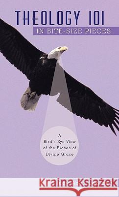 Theology 101 in Bite-Size Pieces: A Bird's Eye View of the Riches of Divine Grace LeBlanc, Judy Azar 9781449707071 WestBow Press - książka