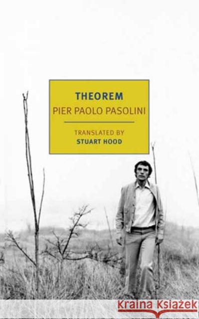 Theorem Pier Paolo Pasolini Stuart Hood 9781681377643 The New York Review of Books, Inc - książka