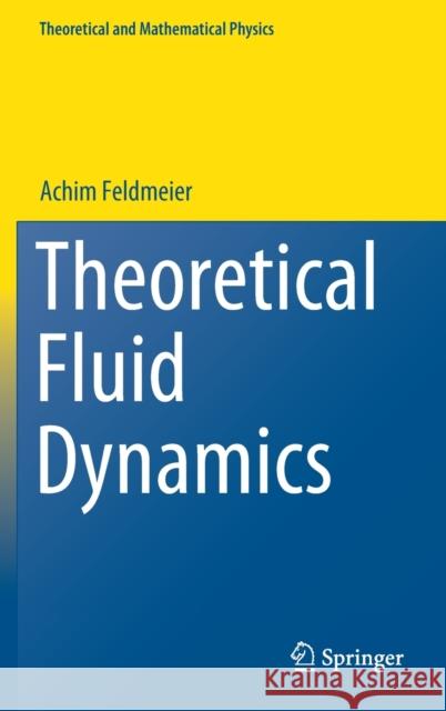 Theoretical Fluid Dynamics Achim Feldmeier 9783030310219 Springer - książka