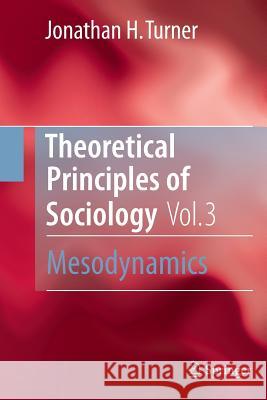 Theoretical Principles of Sociology, Volume 3: Mesodynamics Turner, Jonathan H. 9781493900473 Springer - książka