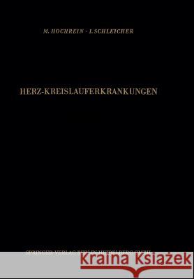 Theoretische Grundlagen Einer Funktionellen Therapie M. Hochrein I. Schleicher 9783642490736 Steinkopff-Verlag Darmstadt - książka