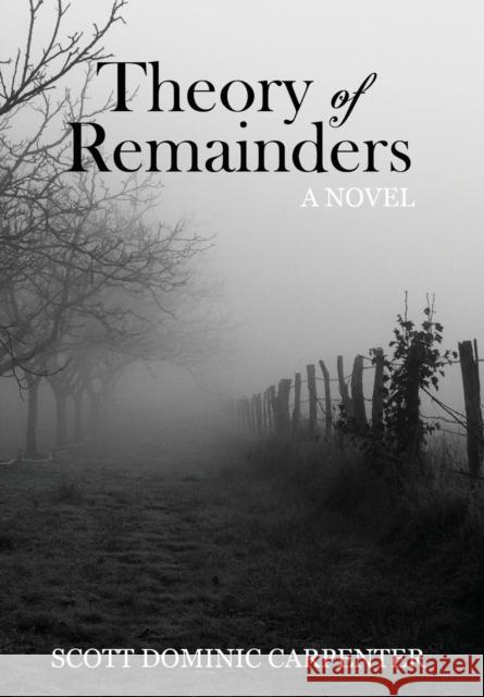 Theory of Remainders Scott Carpenter 9780988904903 Winter Goose Publishing - książka