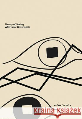Theory of Seeing Wladyslaw Strzeminski Daniel Muzyczuk 9781517920814 E-Flux Classics - książka