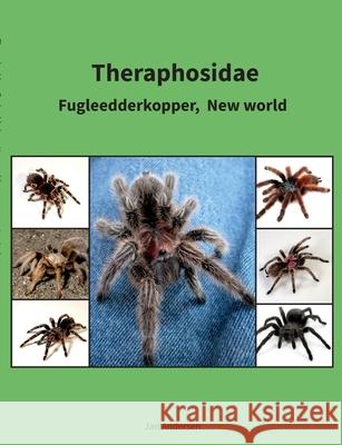 Theraphosidae: Fugleedderkopper, New world Jan Andersen 9788743034032 Books on Demand - książka