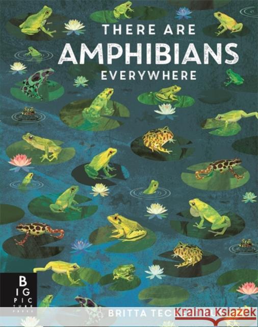 There Are Amphibians Everywhere Camilla De La Bedoyere 9781800787124 Templar Books - książka