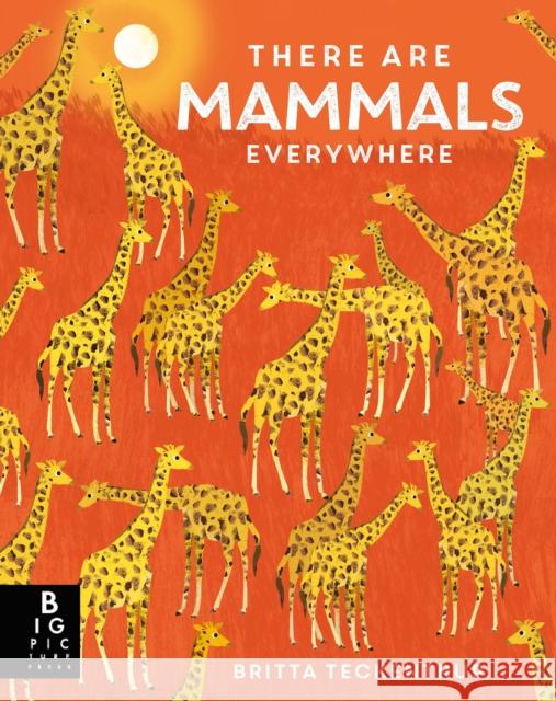 There are Mammals Everywhere Camilla De La Bedoyere 9781787419940 Templar Publishing - książka