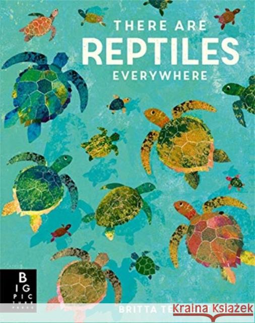 There are Reptiles Everywhere Britta Teckentrup Camilla De La Bedoyere  9781787416536 Templar Publishing - książka