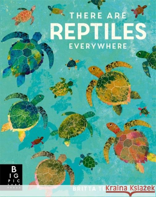 There are Reptiles Everywhere Camilla De La Bedoyere 9781787419094 Templar Publishing - książka