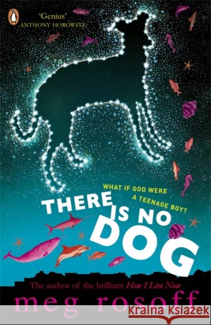 There Is No Dog Meg Rosoff 9780141327174 Penguin Random House Children's UK - książka