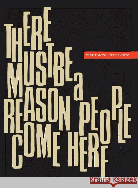 There Must Be a Reason People  Come Here Brian Foley 9781939568441 Black Ocean - książka