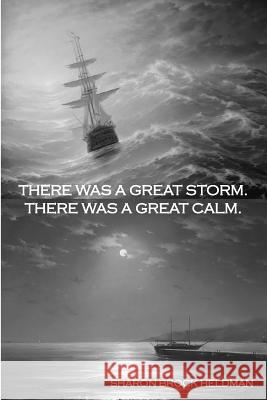 There Was a Great Storm. There Was a Great Calm. Sharon Brock Heldman 9781449900748 Createspace - książka