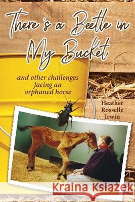 There's a Beetle in My Bucket: and other challenges facing an orphaned horse Heather Rosselle Irwin, Jennifer Tipton Cappoen, Lynn Bemer Coble 9781946198174 PC Junior - książka