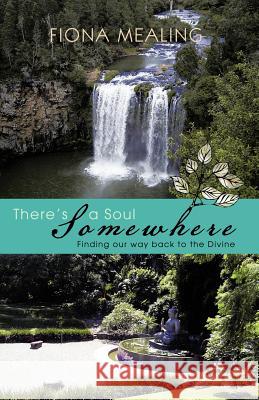 There's a Soul Somewhere: Finding Our Way Back to the Divine Mealing, Fiona 9781452502533 Balboa Press International - książka