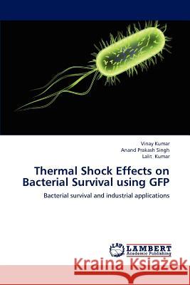 Thermal Shock Effects on Bacterial Survival using GFP Kumar, Vinay 9783659196058 LAP Lambert Academic Publishing - książka