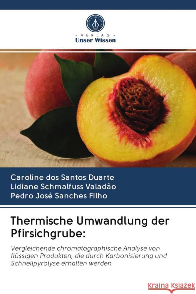 Thermische Umwandlung der Pfirsichgrube: dos Santos Duarte, Caroline, Schmalfuss Valadão, Lidiane, Sanches Filho, Pedro José 9786202961448 Verlag Unser Wissen - książka