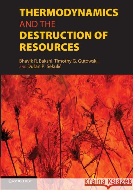 Thermodynamics and the Destruction of Resources Bhavik R. Bakshi Timothy G. Gutowski Dusan P. Sekulic 9781107684140 Cambridge University Press - książka