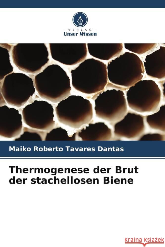 Thermogenese der Brut der stachellosen Biene Tavares Dantas, Maiko Roberto 9786208966935 Verlag Unser Wissen - książka