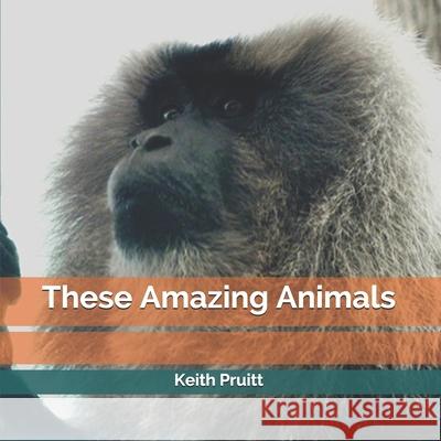 These Amazing Animals Keith Pruitt 9781947211100 Words of Wisdom - książka