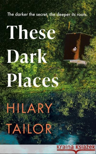 These Dark Places Hilary Tailor 9781662526831 Lake Union Publishing - książka