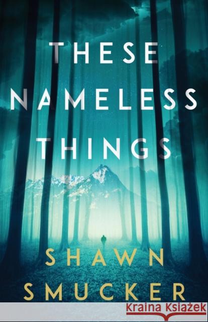 These Nameless Things Shawn Smucker 9780800735302 Fleming H. Revell Company - książka