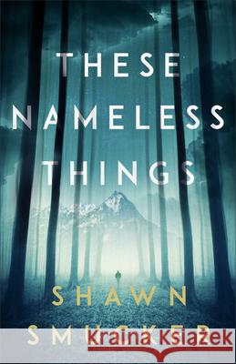 These Nameless Things Shawn Smucker 9780800738631 Fleming H. Revell Company - książka
