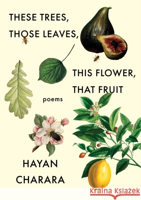 These Trees, Those Leaves, This Flower, That Fruit: Poems Charara, Hayan 9781571315410 Milkweed Editions - książka