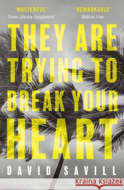 They are Trying to Break Your Heart  Savill, David 9781408865781  - książka