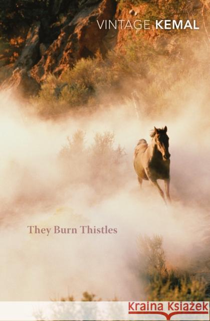They Burn Thistles Yasar Kemal 9781784870478  - książka