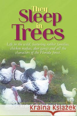 They Sleep in Trees: Life in the wild, featuring rabbit families, chicken mafias, deer gangs and all the characters of the Florida forest. Cowboy, Hardcreek 9781480113152 Createspace - książka
