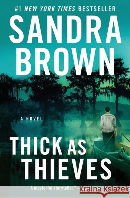 Thick as Thieves Sandra Brown 9781538751923 Grand Central Publishing - książka