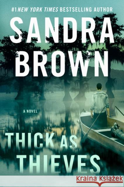 Thick as Thieves Sandra Brown 9781538751947 Grand Central Publishing - książka